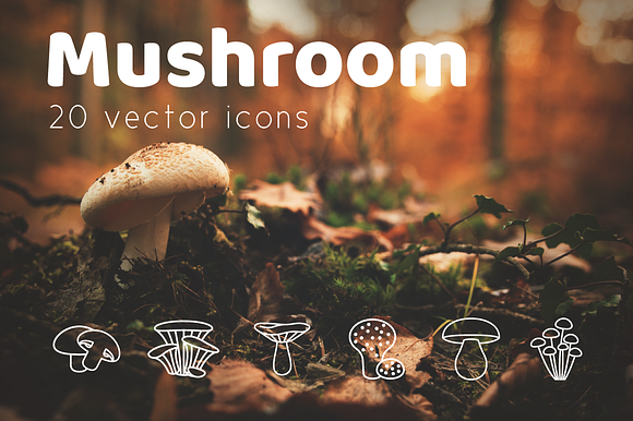 MUSHROOM - vector line icons in Graphics - product preview 1