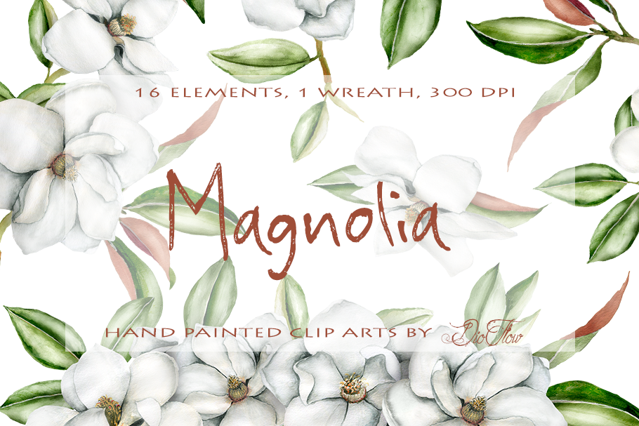 Magnolia Watercolor Clip Art in Illustrations - product preview 8