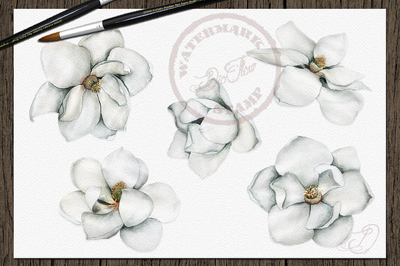 Magnolia Watercolor Clip Art in Illustrations - product preview 1