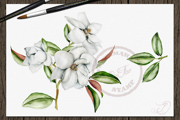 Magnolia Watercolor Clip Art in Illustrations - product preview 2