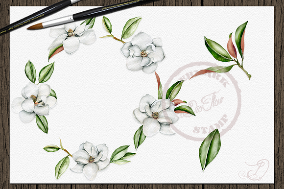 Magnolia Watercolor Clip Art in Illustrations - product preview 3