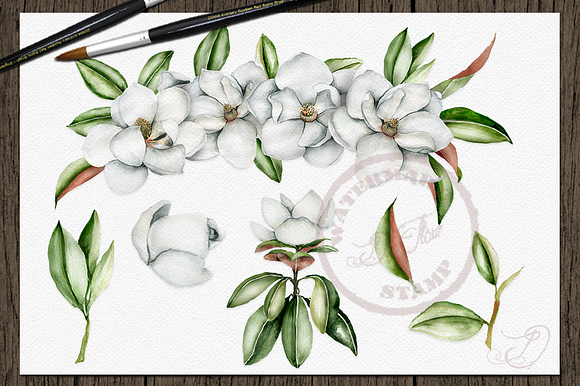 Magnolia Watercolor Clip Art in Illustrations - product preview 4