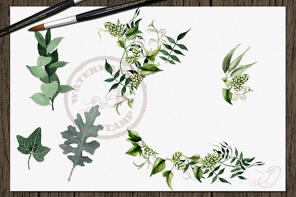Greenery 2 Watercolor Clip Art in Illustrations - product preview 3