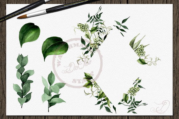 Greenery 2 Watercolor Clip Art in Illustrations - product preview 4