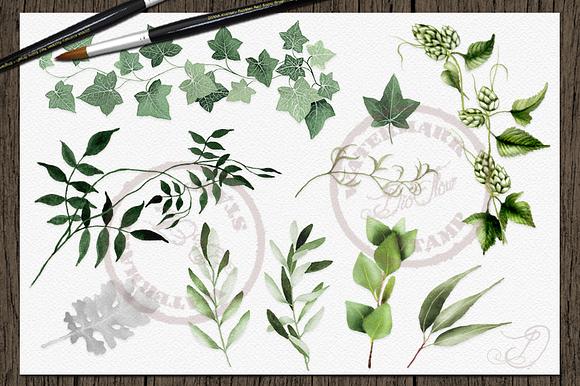 Greenery 2 Watercolor Clip Art in Illustrations - product preview 5