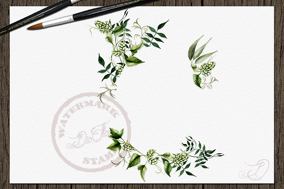 Greenery 2 Watercolor Clip Art in Illustrations - product preview 6