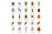 Insects color icons set
