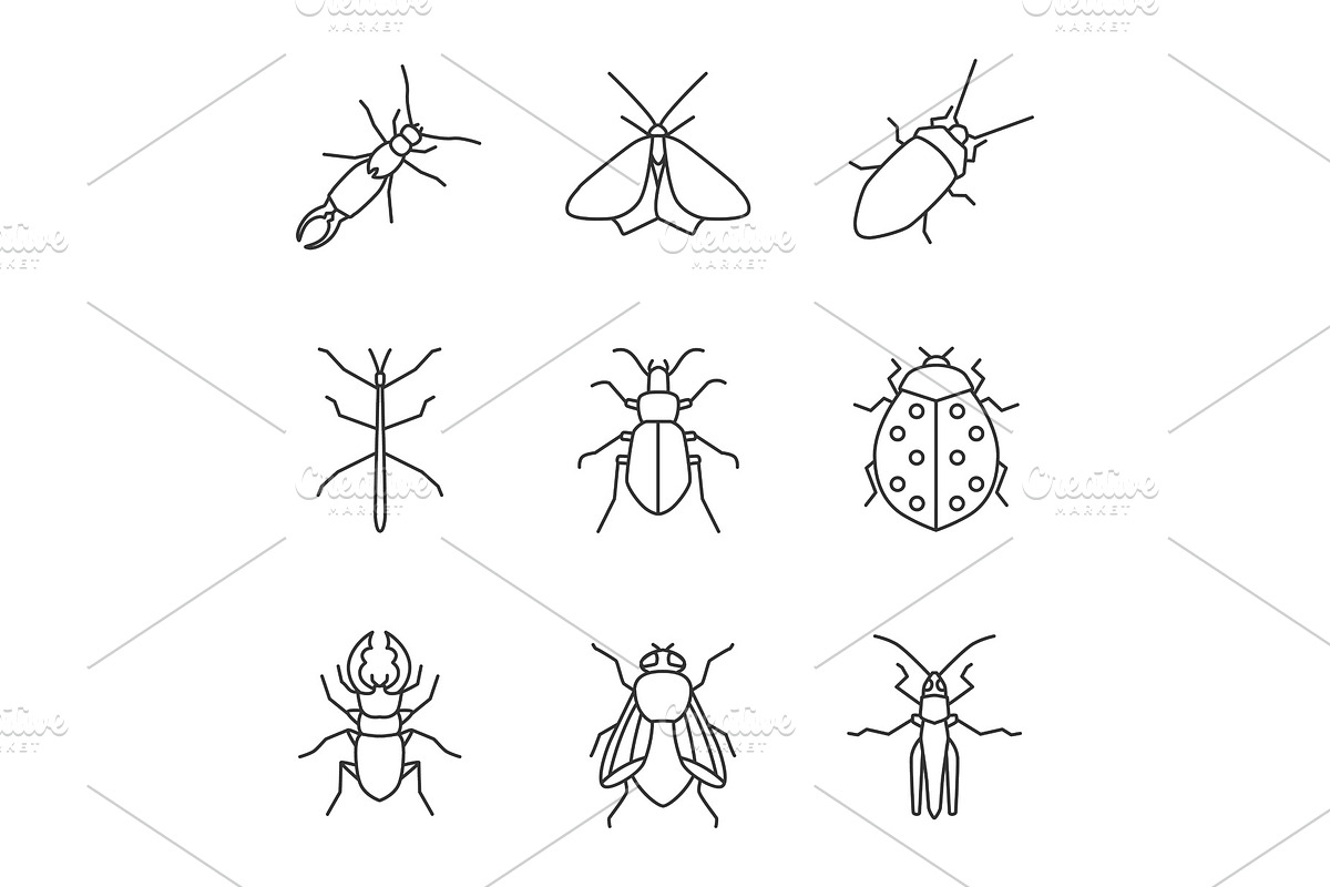 Insects linear icons set in Graphics - product preview 8