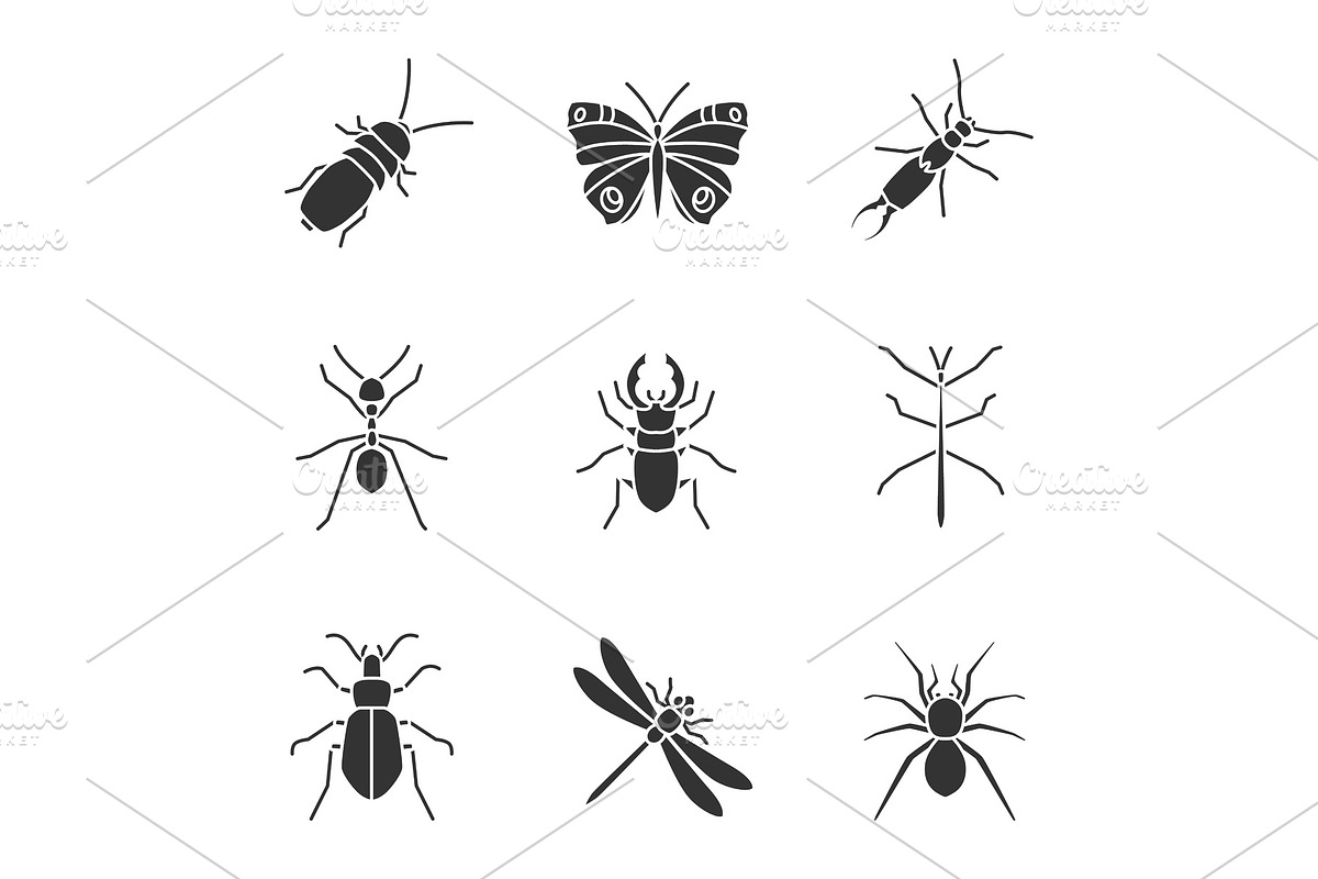 Insects glyph icons set in Graphics - product preview 8