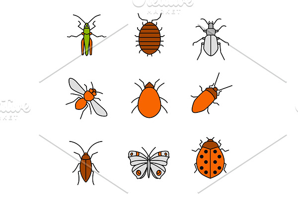 Insects color icons set