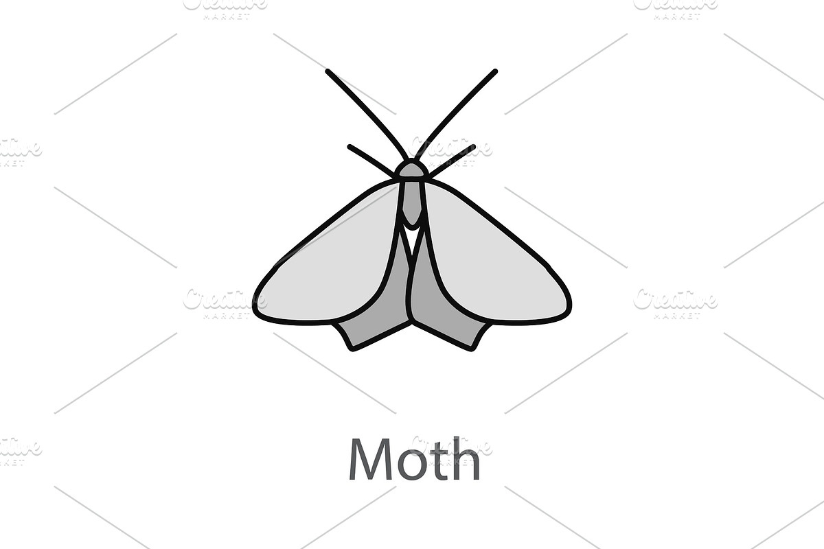 Moth color icon in Graphics - product preview 8