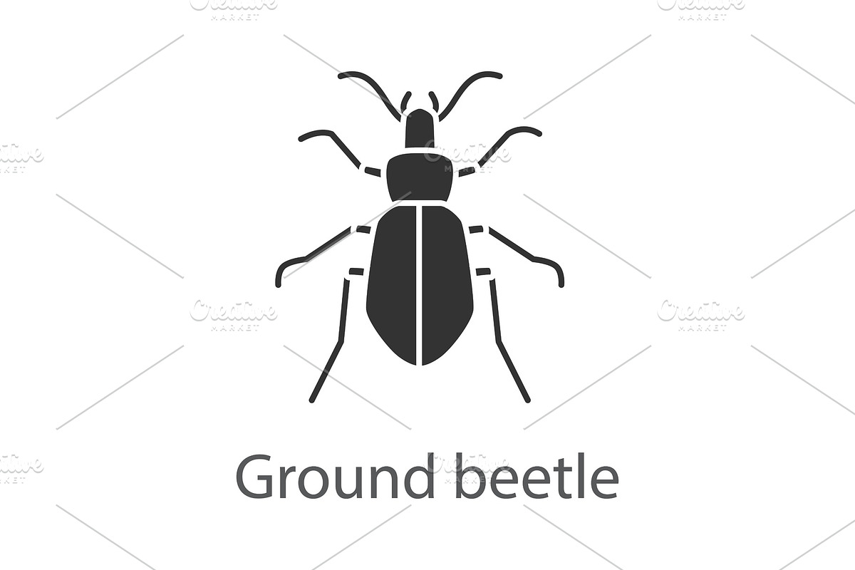 Ground beetle glyph icon in Graphics - product preview 8