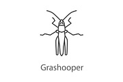 Grasshopper linear icon