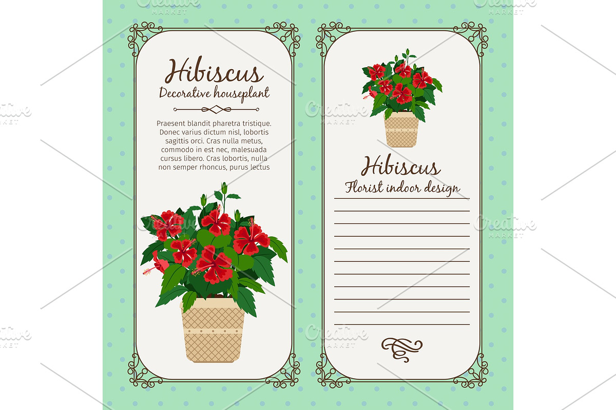 Vintage label with hibiscus plant in Illustrations - product preview 8