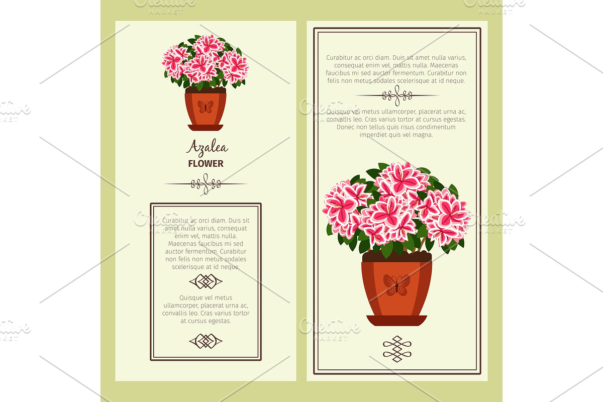 Azalea flower in pot banners in Illustrations - product preview 8
