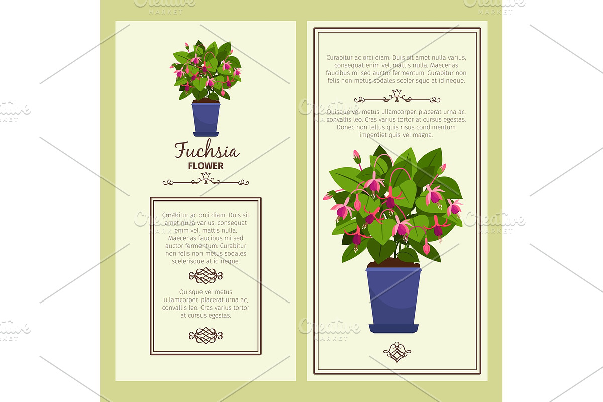 Fuchsia flower in pot banners in Illustrations - product preview 8