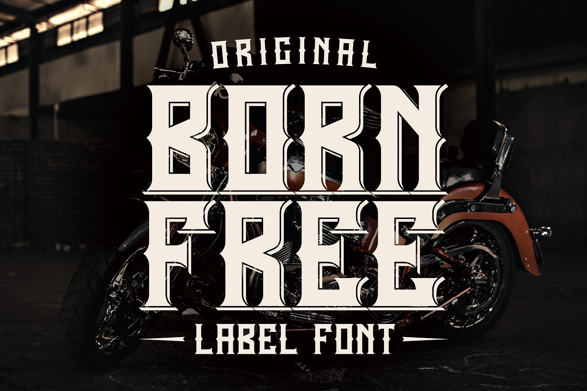 Born Free Typeface in Display Fonts - product preview 8