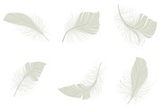White feather icons set