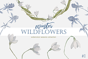 Winter Wildflowers