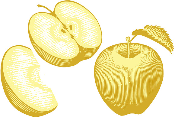 Golden Apples in Illustrations - product preview 1