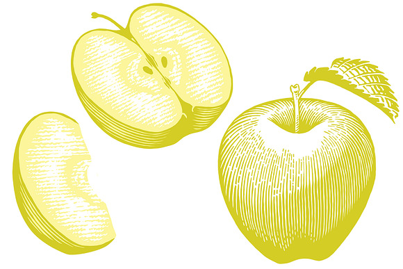 Golden Apples in Illustrations - product preview 2