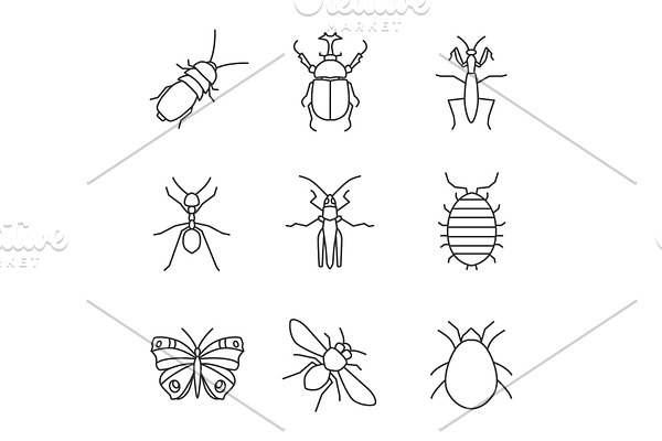 Insects linear icons set