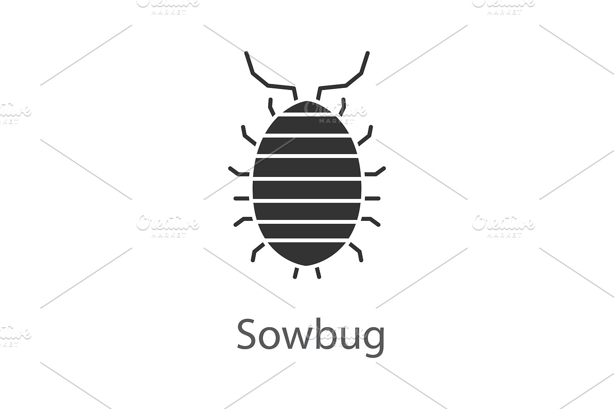Woodlouse glyph icon in Graphics - product preview 8