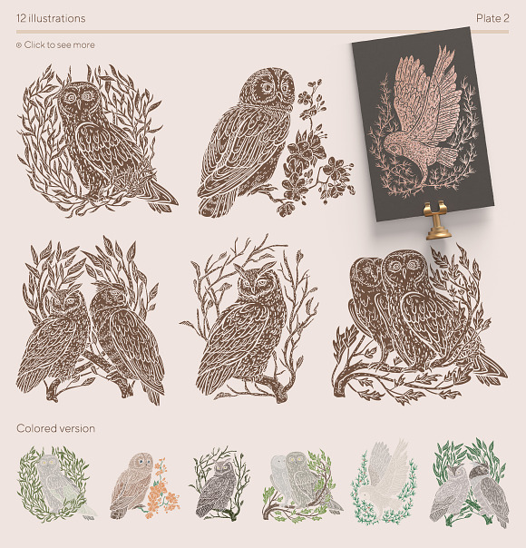 Owls graphic collection in Illustrations - product preview 14