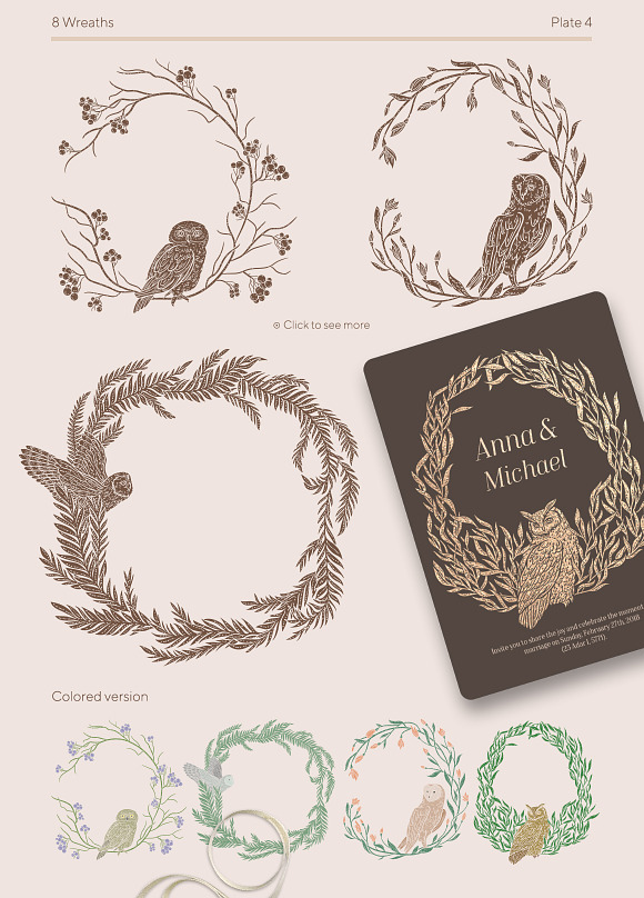 Owls graphic collection in Illustrations - product preview 15
