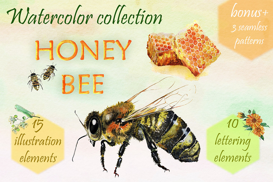 Honey Bee. Watercolor set.
