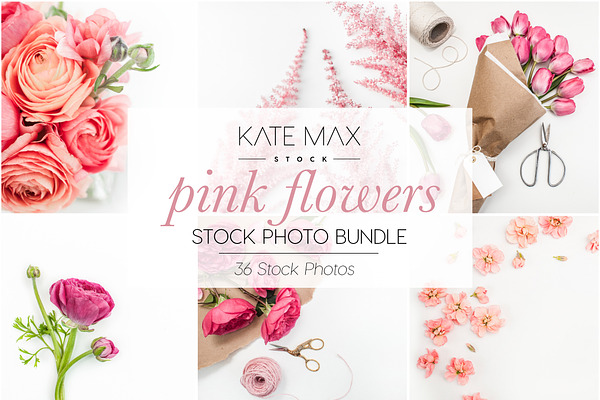 Pink Flowers Stock Photo Bundle