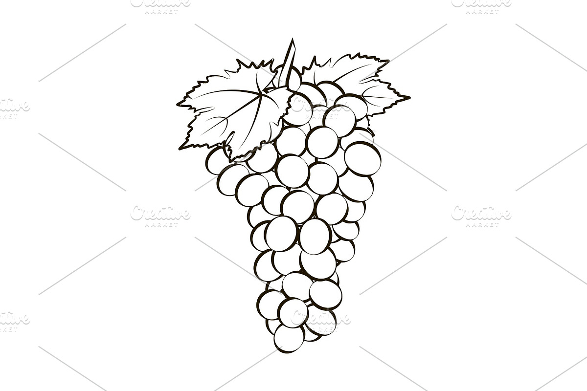 Bunch of grapes with leaves in Illustrations - product preview 8