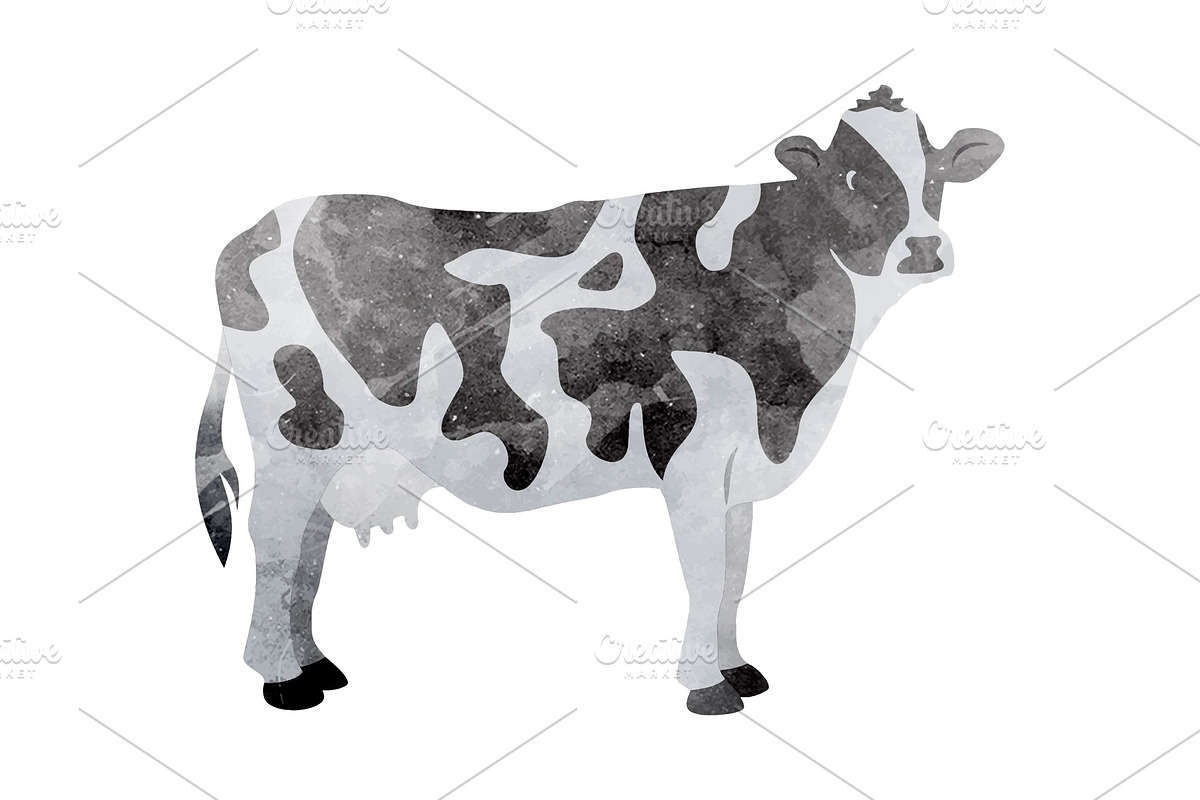 Watercolor cow on white in Illustrations - product preview 8