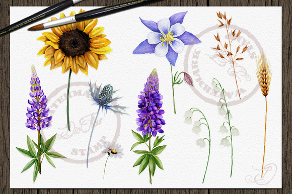 Wild Flowers Watercolor Clip Art in Illustrations - product preview 2