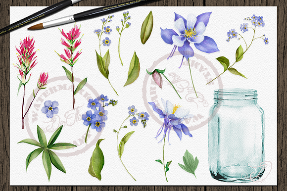 Wild Flowers Watercolor Clip Art in Illustrations - product preview 3