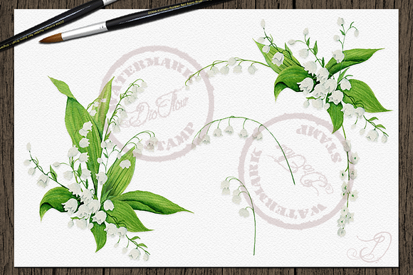Lily Of The Valley Clip Art in Illustrations - product preview 2