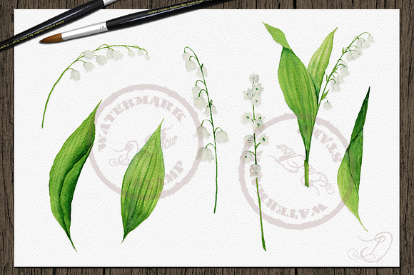 Lily Of The Valley Clip Art in Illustrations - product preview 3