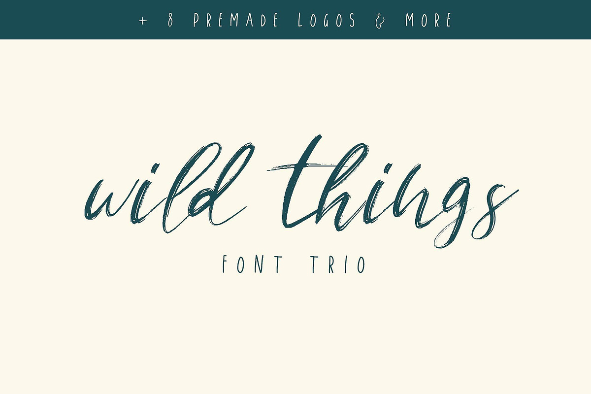 Wild Things Font Trio + Extras in Script Fonts - product preview 8