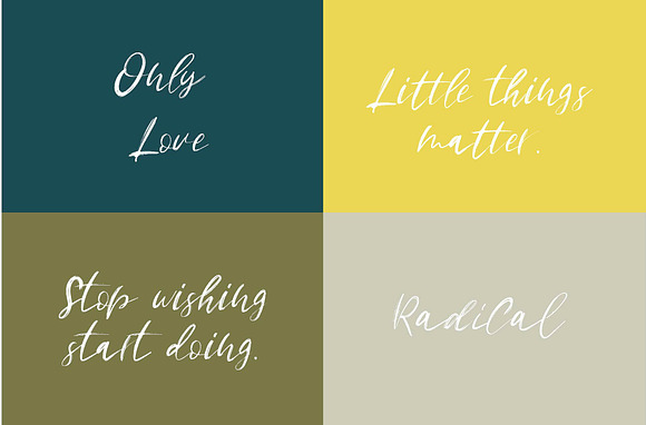 Wild Things Font Trio + Extras in Script Fonts - product preview 2