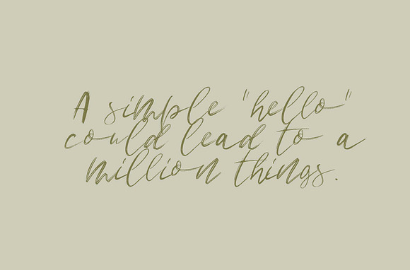 Wild Things Font Trio + Extras in Script Fonts - product preview 3