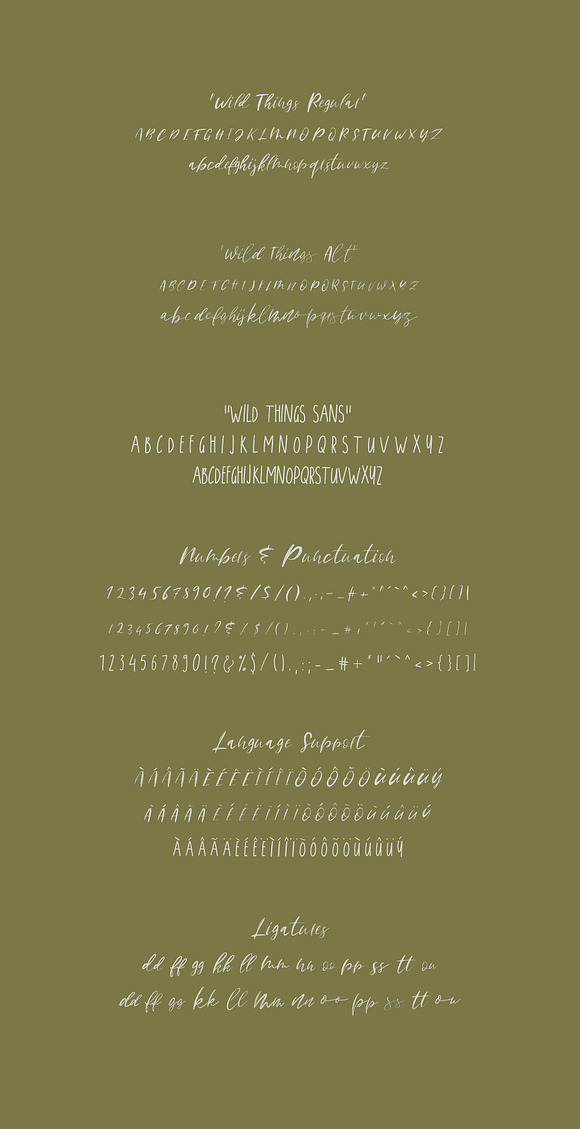 Wild Things Font Trio + Extras in Script Fonts - product preview 4