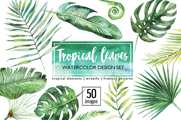 40%OFF Tropical Leaves Design Kit in Illustrations - product preview 3