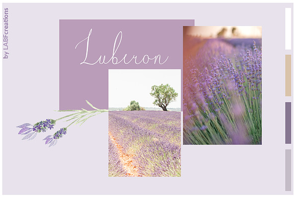 -50% Luberon. Fine art Font. in Script Fonts - product preview 1