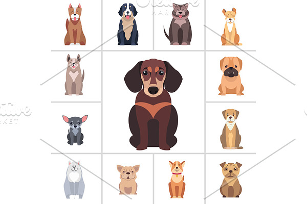 Dachshund and Other Dog Breeds Illustrations Set