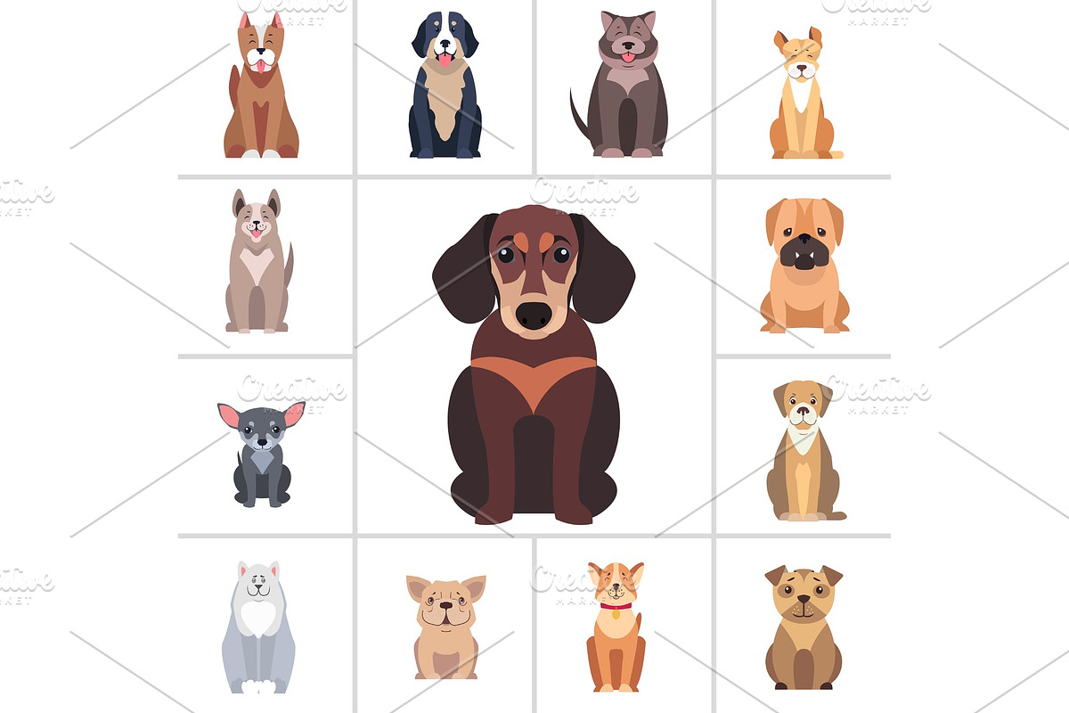 Dachshund and Other Dog Breeds Illustrations Set in Illustrations - product preview 8