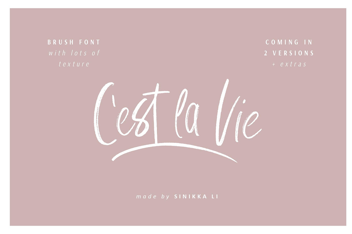 C'est La Vie | Font + Extras in Script Fonts - product preview 8