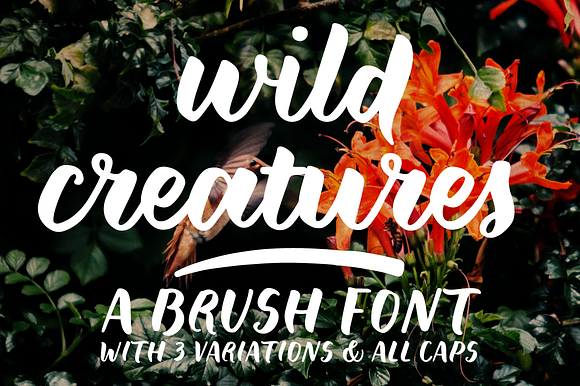 85% OFF! Font Collection Vol. 1 in Serif Fonts - product preview 9