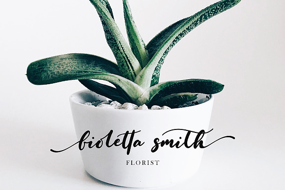 Fioletta Smith in Script Fonts - product preview 8