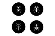 Insects glyph icons set