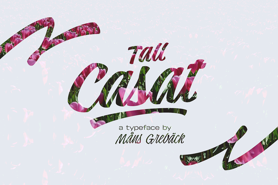Tall Casat in Script Fonts - product preview 8